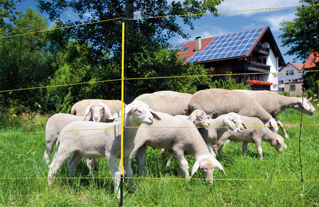 Fårnät - Easynet