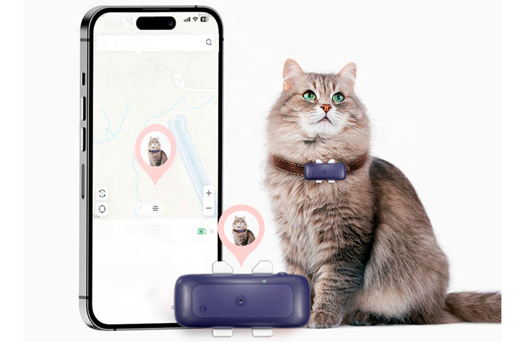 GPS sändare - Katt
