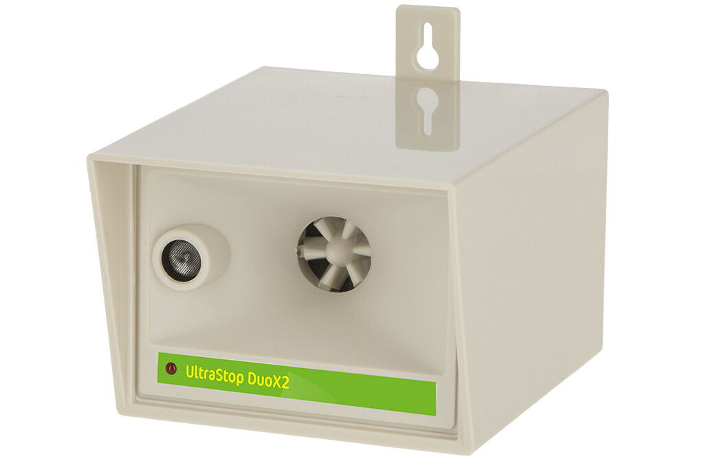 Gnagarsiren DUOX2